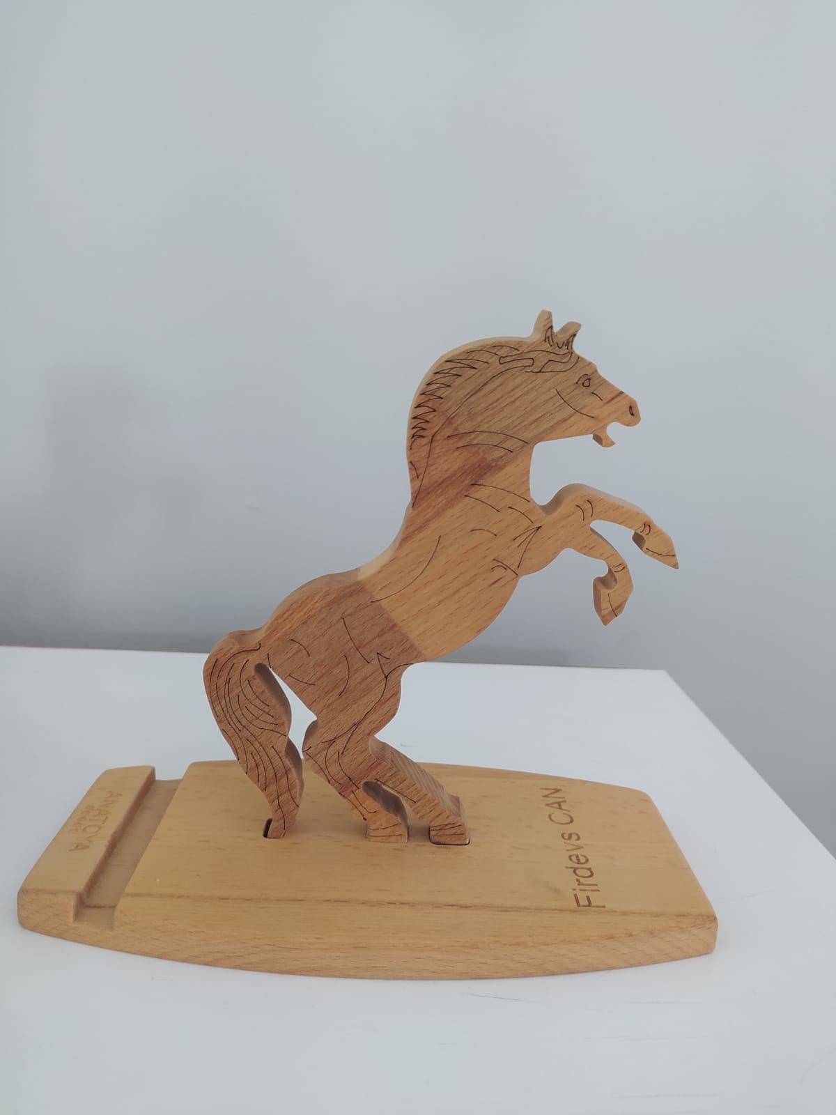 Değerlendirme 3. görseli